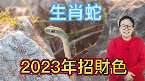 屬蛇 顏色|2025年屬蛇的幸運色是什麼？探討運勢與色彩的相互關聯